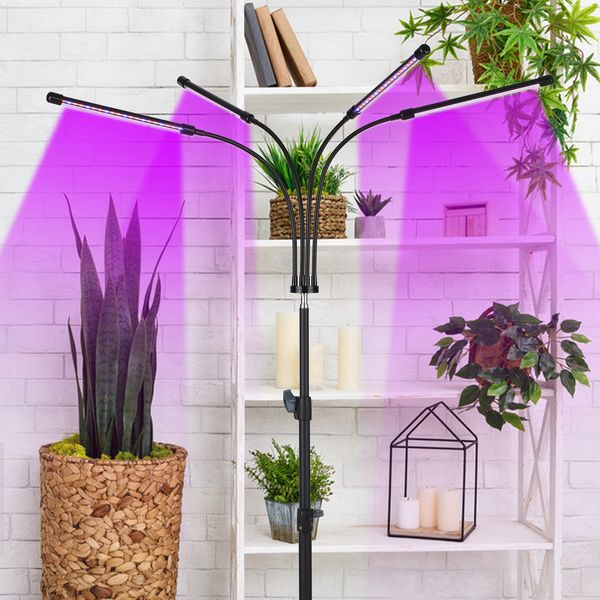 2021 new 3-headed leds grow light with adjustable tripod support full spectrum plant growing lamp 10 levels of brightness for fruit bloom 69
2021 new 3-headed leds grow light with adjustable tripod support full spectrum plant growing lamp 10 levels of brightness for fruit bloom 69