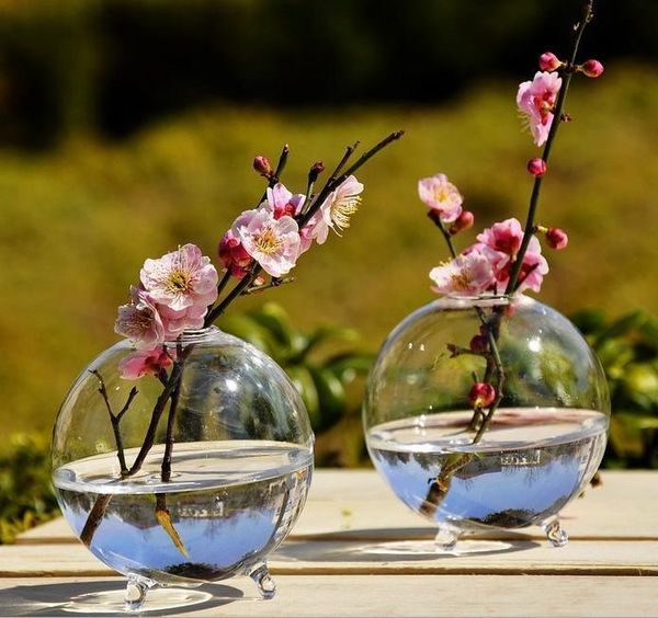 breath of spring round transparent glass hydroponic vase tablefishbowl flower arrangement utensils office plant decoration
breath of spring round transparent glass hydroponic vase tablefishbowl flower arrangement utensils office plant decoration
