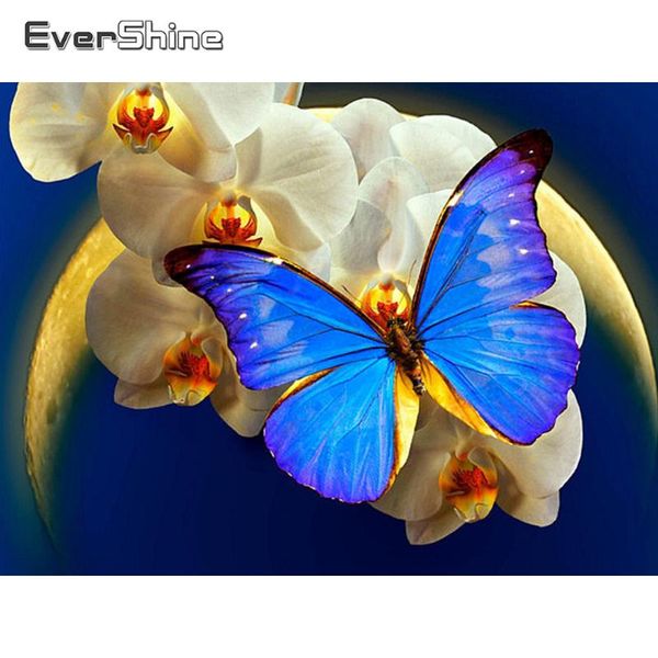 diamond painting evershine butterfly 5d diy embroidery mosaic flowers picture rhinestone handmade kits home decoration
diamond painting evershine butterfly 5d diy embroidery mosaic flowers picture rhinestone handmade kits home decoration