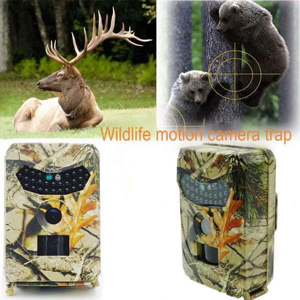hunting cameras wild camera po traps 12mp 1080p motion triggered video vamcorder ip56 waterproof outdoor night vision trail
hunting cameras wild camera po traps 12mp 1080p motion triggered video vamcorder ip56 waterproof outdoor night vision trail