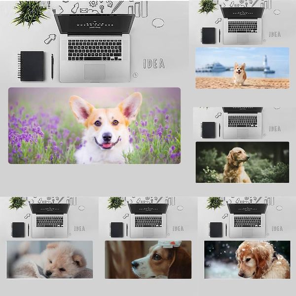 mouse pads & wrist rests dog cute gaming player desk table protect game office work mat pad x xl xxl non-slip lapcushion
mouse pads & wrist rests dog cute gaming player desk table protect game office work mat pad x xl xxl non-slip lapcushion