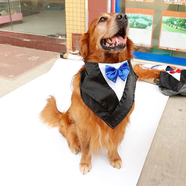 dog apparel small medium dogs saliva towel costume wedding bandana scarf bibs with bow tie for halloween handmade and adjustable hyd
dog apparel small medium dogs saliva towel costume wedding bandana scarf bibs with bow tie for halloween handmade and adjustable hyd