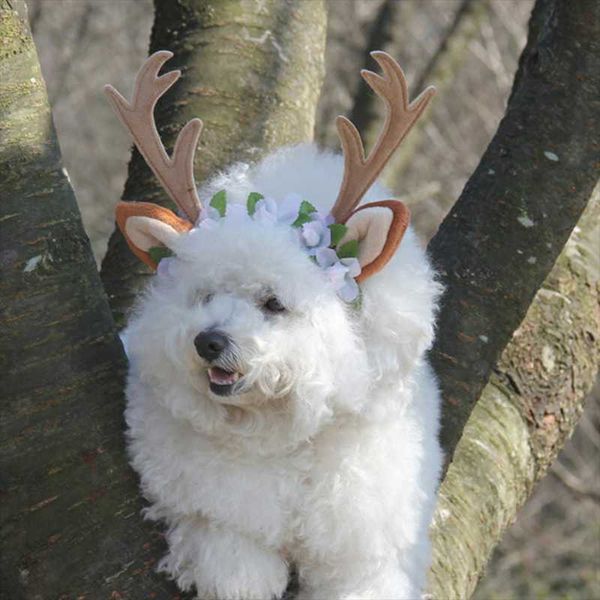 cat costumes 2021 christmas pet accessories dog hairpin ornament antler headband 
cat costumes 2021 christmas pet accessories dog hairpin ornament antler headband