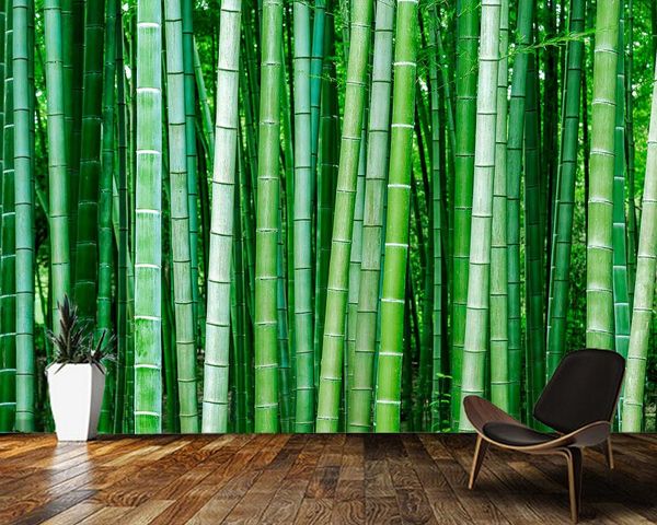 wallpapers papel de parede green bamboo forest natural landscape 3d wallpaper mural,living room tv wall bedroom papers home decor
wallpapers papel de parede green bamboo forest natural landscape 3d wallpaper mural,living room tv wall bedroom papers home decor