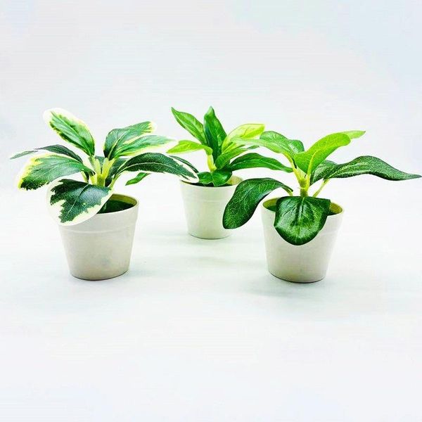 decorative flowers & wreaths artificial greenplantssmall leaf potted plants13cmhigh,home decoration,office deskornaments,fakeplantsfor g
decorative flowers & wreaths artificial greenplantssmall leaf potted plants13cmhigh,home decoration,office deskornaments,fakeplantsfor g