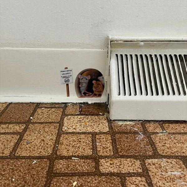 wall stickers no cats scaredy mice mouse hole sticker decal cute novelty paper home decoration
wall stickers no cats scaredy mice mouse hole sticker decal cute novelty paper home decoration