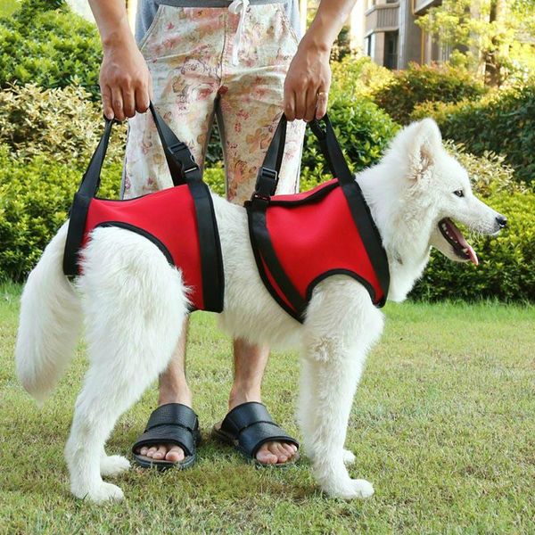 dog collars & leashes soft neoprene lift support harness elderly weak canine aid with handle for injuries arthritis small medium large pet
dog collars & leashes soft neoprene lift support harness elderly weak canine aid with handle for injuries arthritis small medium large pet