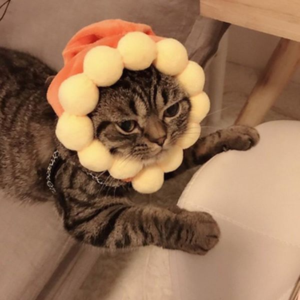 cat costumes cats dogs cosplay funny hair accessories pet dress up party decoration costume cute headwear hats supplies puppy caps
cat costumes cats dogs cosplay funny hair accessories pet dress up party decoration costume cute headwear hats supplies puppy caps