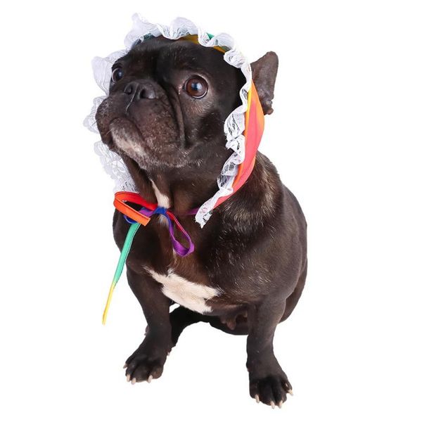 dog apparel summer pet lace hat cap outdoor windproof small sunscreen pographing props accessories
dog apparel summer pet lace hat cap outdoor windproof small sunscreen pographing props accessories