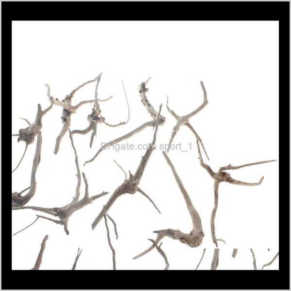 aquarium decor sinkable driftwood spider wood natural grapewood fish tank decoration tropical fish plant habita qylsrg petsyard
aquarium decor sinkable driftwood spider wood natural grapewood fish tank decoration tropical fish plant habita qylsrg petsyard