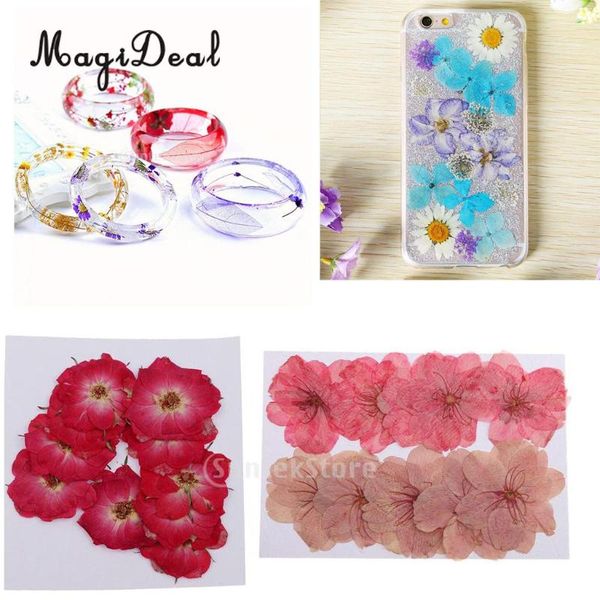 20pcs mixed natural pressed dried flowers filler for epoxy resin jewelry making for arts crafts scrapbooking card phone case diy
20pcs mixed natural pressed dried flowers filler for epoxy resin jewelry making for arts crafts scrapbooking card phone case diy