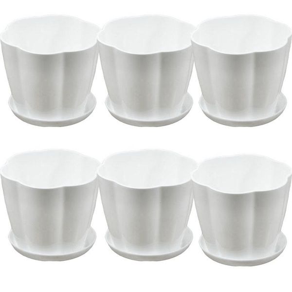 planters & pots 12 pack 5.1inch white plastic flower plant seedlings nursery pot planter with saucer pallet
planters & pots 12 pack 5.1inch white plastic flower plant seedlings nursery pot planter with saucer pallet