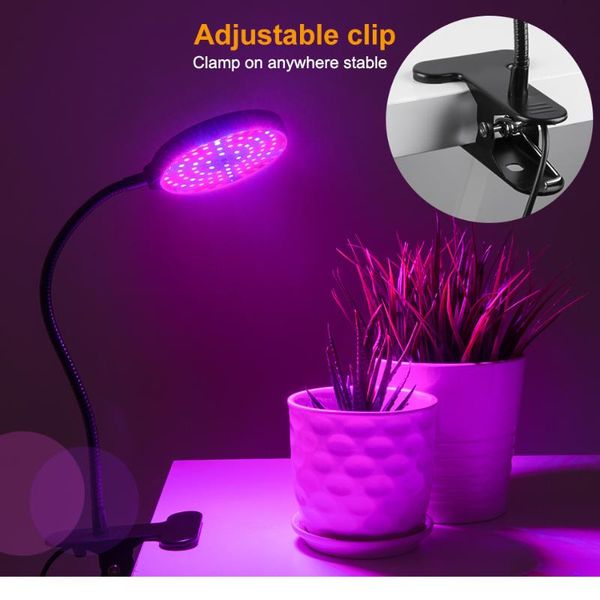 led grow timer usb phyto lamp full spectrum fito lampy led garden light 15w 30w 45w 60w deskclip for indoor plant light
led grow timer usb phyto lamp full spectrum fito lampy led garden light 15w 30w 45w 60w deskclip for indoor plant light