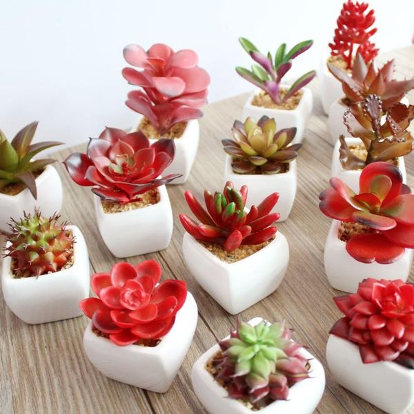 decorative flowers & wreaths green artificial succulents plants for home garden decoration wedding wall flower arrangement bonsai fake
decorative flowers & wreaths green artificial succulents plants for home garden decoration wedding wall flower arrangement bonsai fake