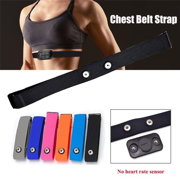 outdoor fitness equipment elastic chest belt soft strap band for polar sports running heart rate monitor bluetooth adjustable
outdoor fitness equipment elastic chest belt soft strap band for polar sports running heart rate monitor bluetooth adjustable