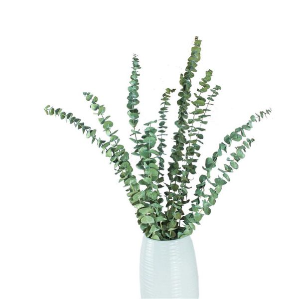 decorative flowers & wreaths 5 stems handmade dried real eucalyptus hanging shower bouquet plants natural no preservatives perfume vase
decorative flowers & wreaths 5 stems handmade dried real eucalyptus hanging shower bouquet plants natural no preservatives perfume vase