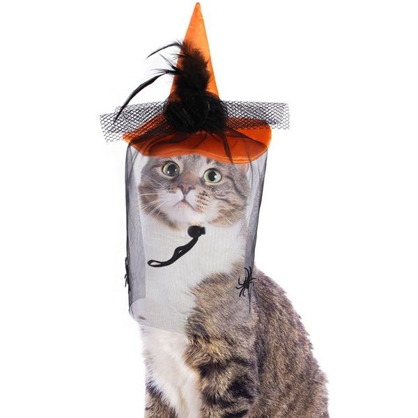 cat costumes pet hat for halloween adjustable witch puppy wizard with veil party outfit costume kitten apparel supply
cat costumes pet hat for halloween adjustable witch puppy wizard with veil party outfit costume kitten apparel supply