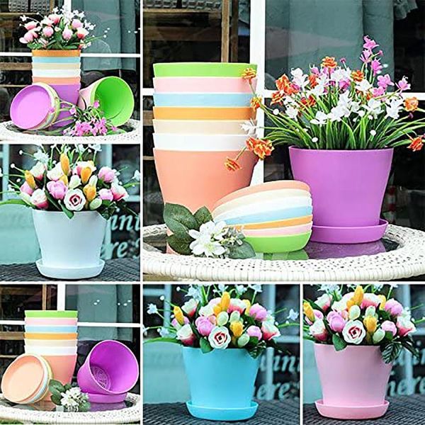 clothing & wardrobe storage 8 pieces colored plastic vases for flowers office home with trays planter handmade deskflower pots garden nu
clothing & wardrobe storage 8 pieces colored plastic vases for flowers office home with trays planter handmade deskflower pots garden nu