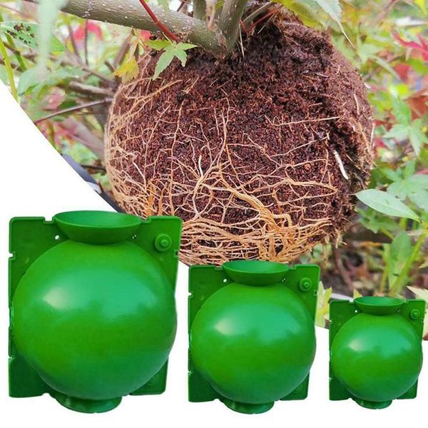 planters & pots 5pcs plant rooting ball grafting growing box breeding case for garden 5/8/12cm in diameter
planters & pots 5pcs plant rooting ball grafting growing box breeding case for garden 5/8/12cm in diameter