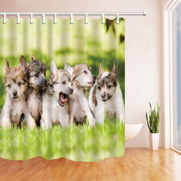shower curtains animals decor cute dogs on the grass bath curtain polyester fabric waterproof hooks brown green
shower curtains animals decor cute dogs on the grass bath curtain polyester fabric waterproof hooks brown green