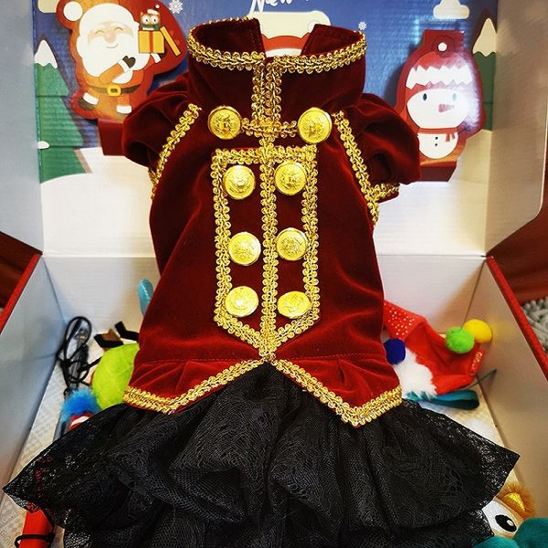 handmade dog apparel pet clothes coat dress royal velvet lace skirt classic golden button suit maltese yorkie poodle
handmade dog apparel pet clothes coat dress royal velvet lace skirt classic golden button suit maltese yorkie poodle