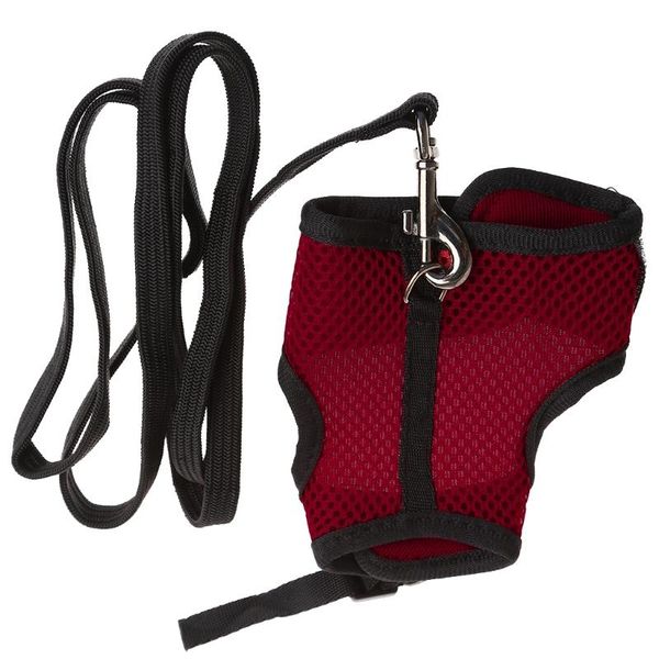 dog collars & leashes hamster mesh harness leash ferret guinea pig small animal pet walk lead j6pd
dog collars & leashes hamster mesh harness leash ferret guinea pig small animal pet walk lead j6pd