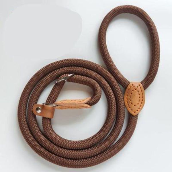 dog collars & leashes 2021 leash nylon pet lead adjustable harness durable rope belt lightweight supplies walking training tag
dog collars & leashes 2021 leash nylon pet lead adjustable harness durable rope belt lightweight supplies walking training tag