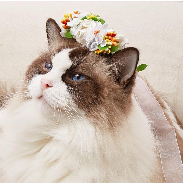 cat carriers,crates & houses pet flower fairy wreath jewelry wedding headdress po decoration white puppet headband
cat carriers,crates & houses pet flower fairy wreath jewelry wedding headdress po decoration white puppet headband