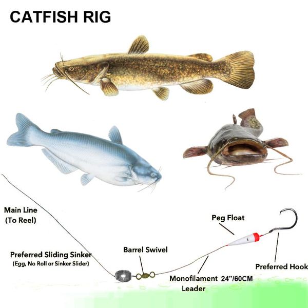fishing hooks 2sets channel flathead catfish rig slip float carp rigs with 4/0 5/0 6/0 handmade circle bait
fishing hooks 2sets channel flathead catfish rig slip float carp rigs with 4/0 5/0 6/0 handmade circle bait