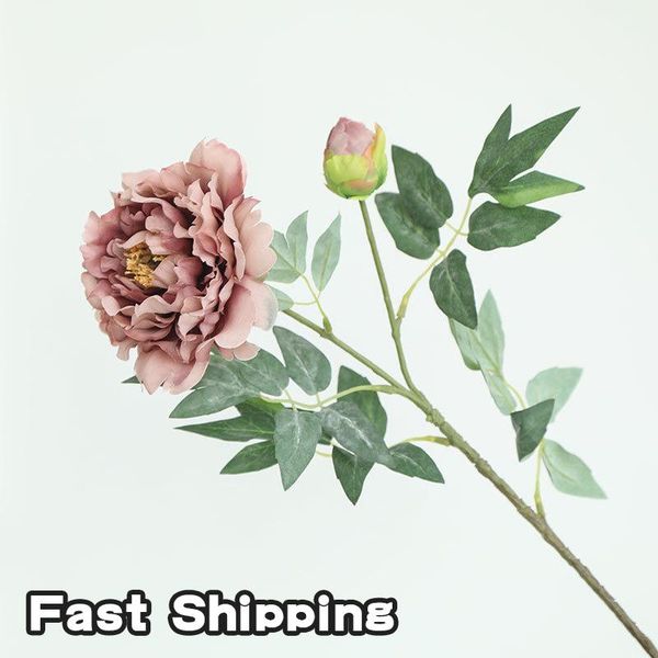 decorative flowers & wreaths rose artificial 13cm pink peonies silk flower wedding garden decoration fake bouquet peony color
decorative flowers & wreaths rose artificial 13cm pink peonies silk flower wedding garden decoration fake bouquet peony color