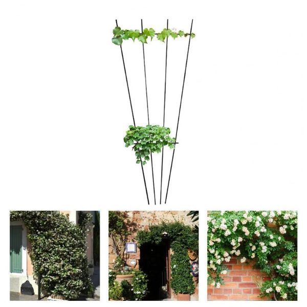 other garden supplies metal anti-cracking plant support ring stable multi-use sturdy stake windproof wide application
other garden supplies metal anti-cracking plant support ring stable multi-use sturdy stake windproof wide application
