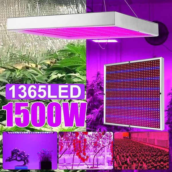 1500w 1365led led grow light full spectrum red & blue hydroponic plant growing light for greenhouse indoor plant flower growing
1500w 1365led led grow light full spectrum red & blue hydroponic plant growing light for greenhouse indoor plant flower growing