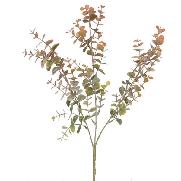 decorative flowers & wreaths simulation eucalyptus branches plastic round leaf cuttings 67cm holiday party supplies home garden decoration a
decorative flowers & wreaths simulation eucalyptus branches plastic round leaf cuttings 67cm holiday party supplies home garden decoration a