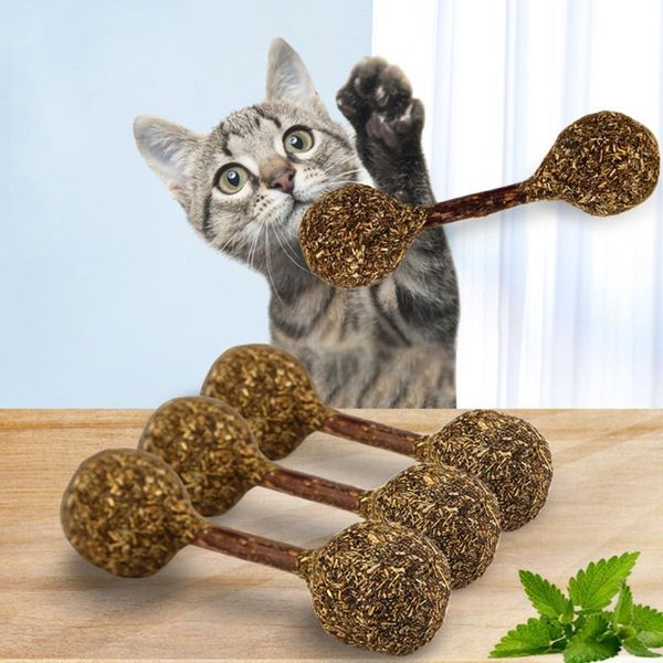 cat toys natural catnip treat balls chewing teeth cleaning treats lollipop shape funny ball pet supply
cat toys natural catnip treat balls chewing teeth cleaning treats lollipop shape funny ball pet supply