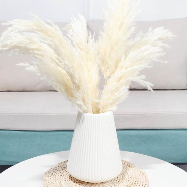 10pcs/bunch white brown natural material dried reeds pampas grass bunch real flower plant stems diy for wedding home decoration
10pcs/bunch white brown natural material dried reeds pampas grass bunch real flower plant stems diy for wedding home decoration