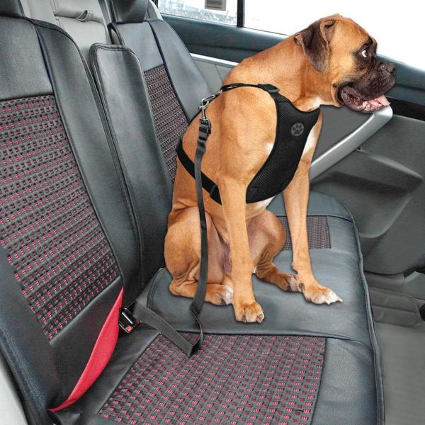 nylon breathable mesh dog harness vest safety pet car seat belt dog leash lead adjustable vehicle harness for medium la qylwji
nylon breathable mesh dog harness vest safety pet car seat belt dog leash lead adjustable vehicle harness for medium la qylwji