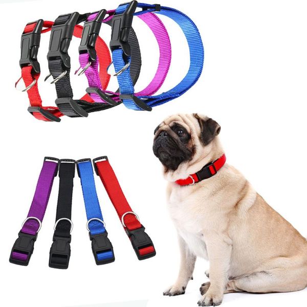 cat collars & leads pet and dog collar accessories safety separation nylon four-color suitable for small medium-sized do
cat collars & leads pet and dog collar accessories safety separation nylon four-color suitable for small medium-sized do
