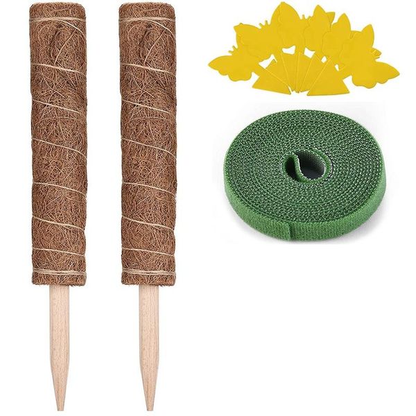 decorative flowers & wreaths pole for climbing plants 40cm 2 pack coir poles support indoor to grow upwards plant monstera
decorative flowers & wreaths pole for climbing plants 40cm 2 pack coir poles support indoor to grow upwards plant monstera