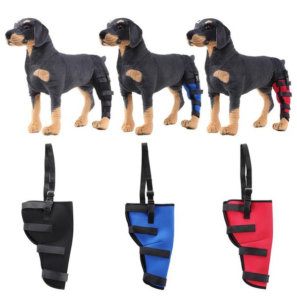 dog left rear leg brace canine hind hock wraps with safety reflective straps after operation recovery
dog left rear leg brace canine hind hock wraps with safety reflective straps after operation recovery