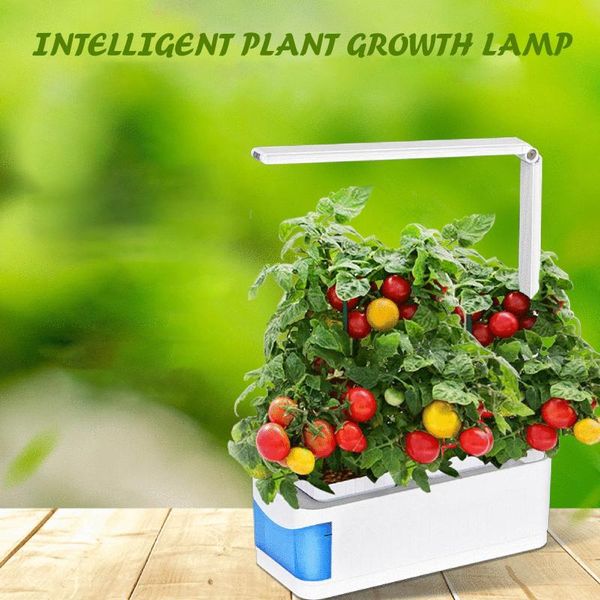 other garden supplies high-discount products led hydroponics growing system, multifunctional intelligent plant growth light gardening
other garden supplies high-discount products led hydroponics growing system, multifunctional intelligent plant growth light gardening