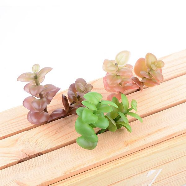 artificial succulents flower head money leaf shooting props artificial potted plants plants plastic flowers
artificial succulents flower head money leaf shooting props artificial potted plants plants plastic flowers