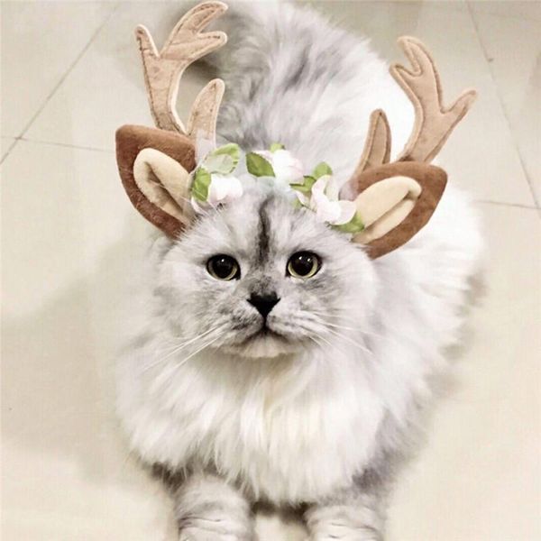 dog apparel christmas moose flower headband pet dogs cats adjustable hat cosplay party gift merry decor year 2021 navidad @5
dog apparel christmas moose flower headband pet dogs cats adjustable hat cosplay party gift merry decor year 2021 navidad @5