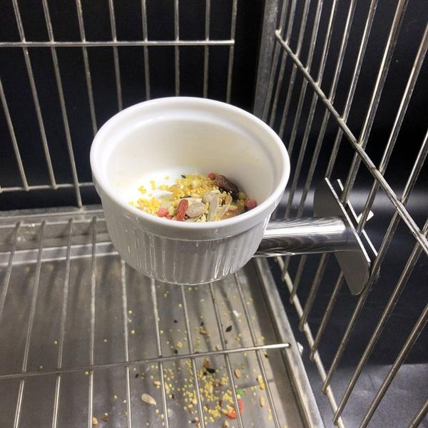 other bird supplies ceramics feeding bowl with stainless steel bracket holder 2 sizes cage dish for parrot parakeet conure budgie
other bird supplies ceramics feeding bowl with stainless steel bracket holder 2 sizes cage dish for parrot parakeet conure budgie