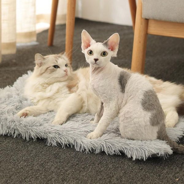 cat beds & furniture 1pc pet cats dogs warm sleeping bag long plush blanket winter puppy cushion mat kennel floor 73*54cm
cat beds & furniture 1pc pet cats dogs warm sleeping bag long plush blanket winter puppy cushion mat kennel floor 73*54cm