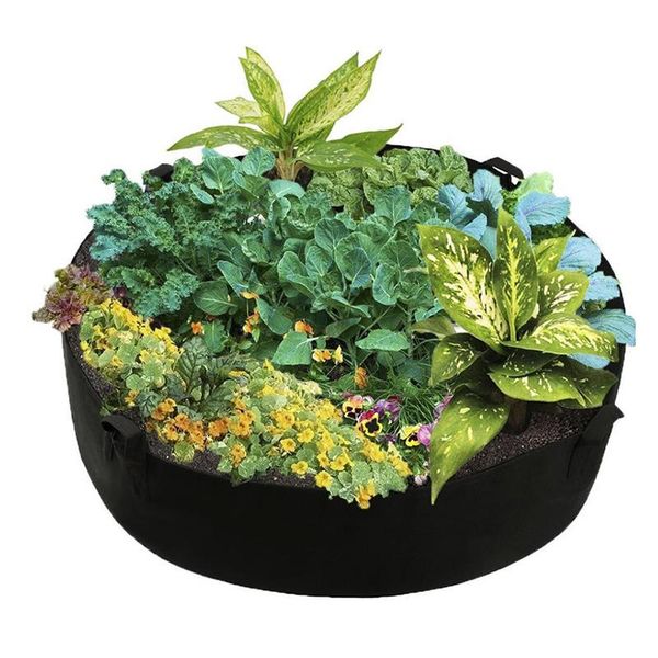 potato grow bag nursery tomato plant diy potato planting bucket felt grow flower fabric pot non-woven seedling bag
potato grow bag nursery tomato plant diy potato planting bucket felt grow flower fabric pot non-woven seedling bag