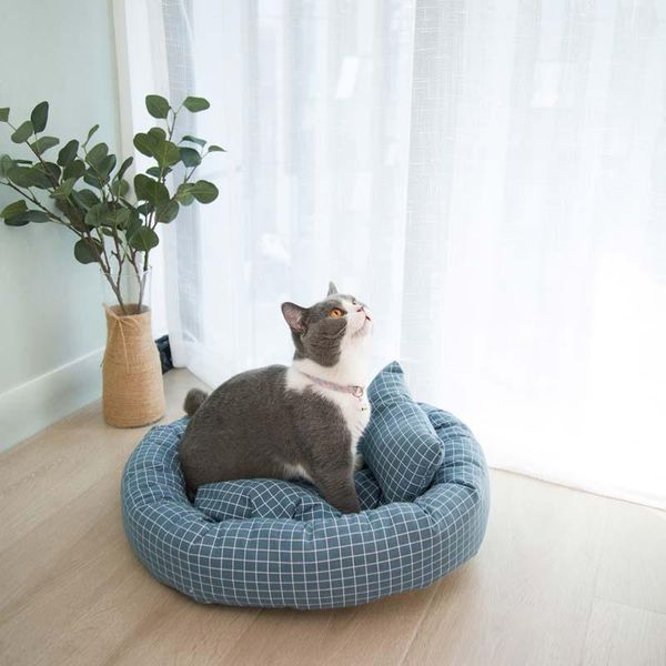 cat beds & furniture soft warm bed mat with pillow pet dog kennel mats small supplies sofa for large dogs egg tarts
cat beds & furniture soft warm bed mat with pillow pet dog kennel mats small supplies sofa for large dogs egg tarts