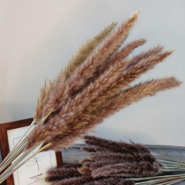 15pcs/lot real plants dried small pampas grass flowers easter home decor mariage decoratie wedding decoration fleurs sechees
15pcs/lot real plants dried small pampas grass flowers easter home decor mariage decoratie wedding decoration fleurs sechees