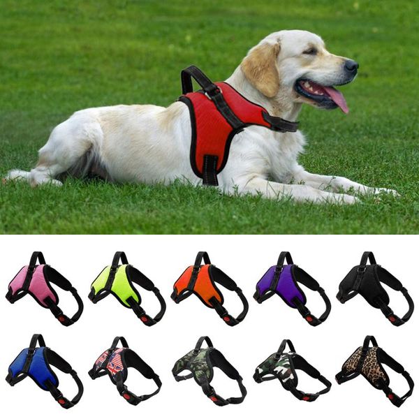 dog collars & leashes pet and cat adjustable harness with leash for small large vest breathable rope collar chest strap supplies
dog collars & leashes pet and cat adjustable harness with leash for small large vest breathable rope collar chest strap supplies