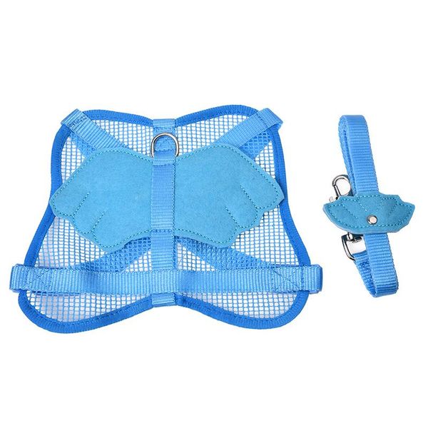 dog apparel 110 cm nylon angel wings design small animal cat harness rodent leash blue
dog apparel 110 cm nylon angel wings design small animal cat harness rodent leash blue