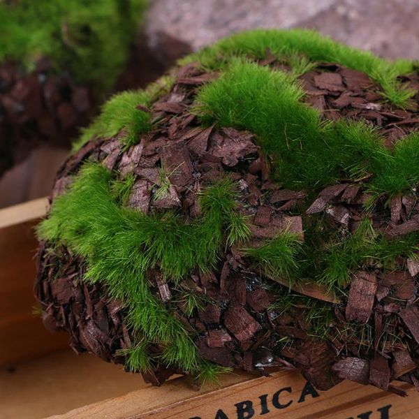 6pcs simulation home diy office landscape garden decor artificial plant l prop mini foam moss stone wedding fake rock
6pcs simulation home diy office landscape garden decor artificial plant l prop mini foam moss stone wedding fake rock